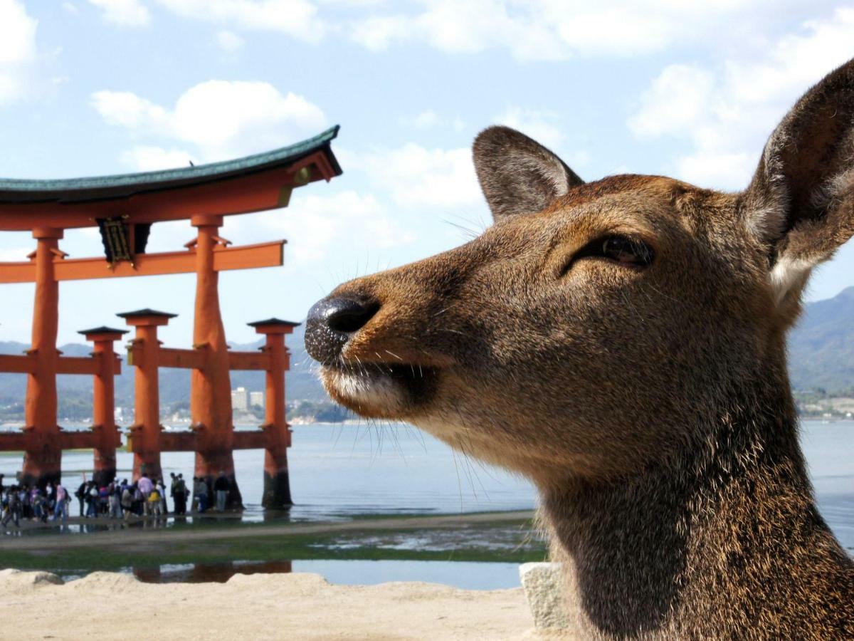 Global Resort Miyajima View Hatsukaichi Buitenkant foto